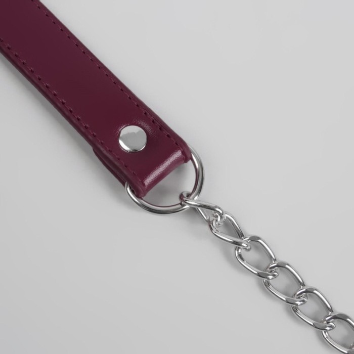 Ручка для сумки, с цепочками и карабинами, 120 × 1,8 см, цвет бордовый