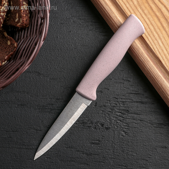 Нож для чистки овощей Доляна «Ринго», лезвие 9 см, цвет МИКС