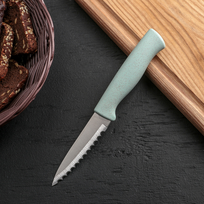 Нож для чистки рыбы Доляна «Ринго», зубчатое лезвие 9 см, цвет МИКС