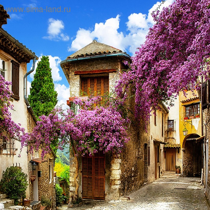 Фотообои на флизелиновой основе Flizelini 1023-3F Бугенвиллия 2,7х2,7 м