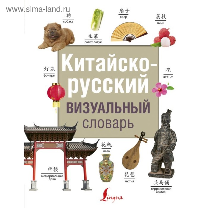 Словари, разговорники СоврВизуалСловари(best). Китайско-русский визуальный словарь