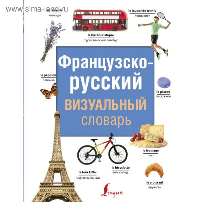 Словари, разговорники СоврВизуалСловари(best). Французско-русский визуальный словарь