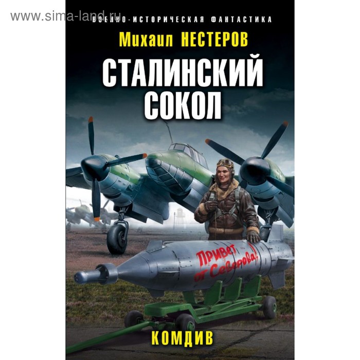 Сталинский сокол. Комдив. Нестеров М.