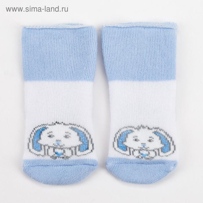 Носки детские махровые, цвет белый/голубой, размер 7-8