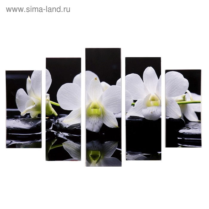 Модульная картина Белые орхидеи у воды (2-23х52; 2-24х70; 1-24х80) 120х80см