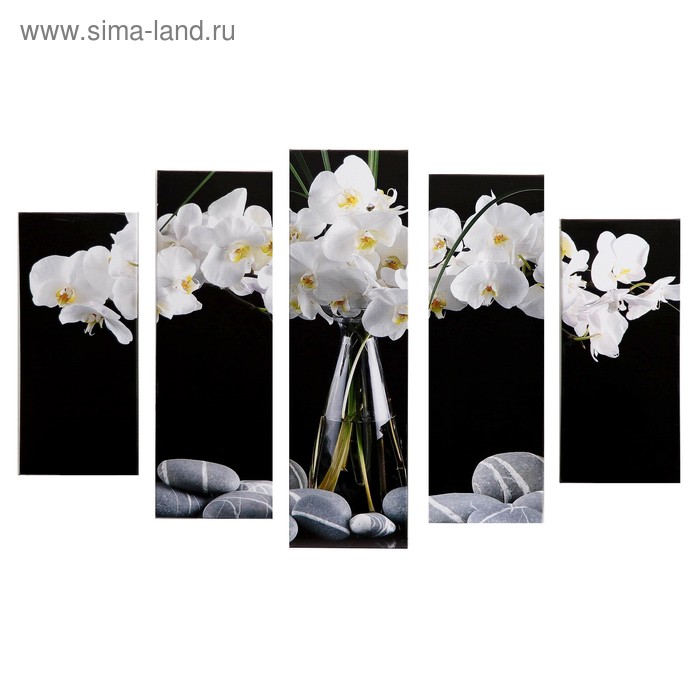 Модульная картина Белые орхидеи (2-23х52; 2-24х70; 1-24х80) 120х80см