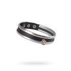 серебристый серебристый