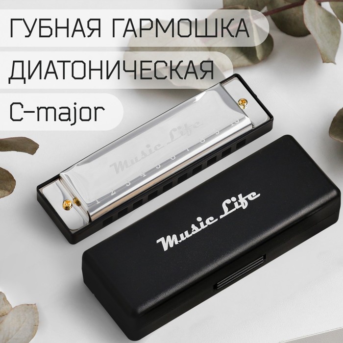 Губная гармошка Music Life диатоническая C-major с футляром серебристая 249₽