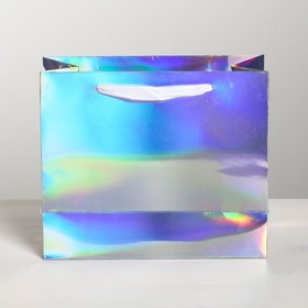 

Пакет ламинированный горизонтальный «Сияй», ML 27 × 23 × 11.5 см