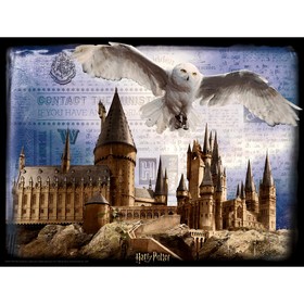 

3D Пазл «Хогвартс и Букля», 500 элементов