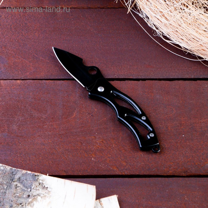 Нож перочинный складной Черный ворон, лезвие 6 см нож перочинный круги складной лезвие 6 см