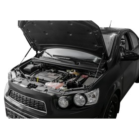

Упоры капота Rival для Chevrolet Aveo II T300 2011-2015, 2 шт., A.ST.1002.1