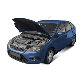 

Упоры капота Rival для Ford Focus II 2005-2008 2008-2011, 2 шт., A.ST.1810.1