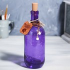 Светильник с гирялндой в бутылке " Чудес"
