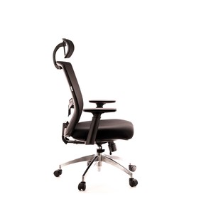 

Эргономичное кресло Everprof Polo S EP-2005 Mesh Black сетка черный