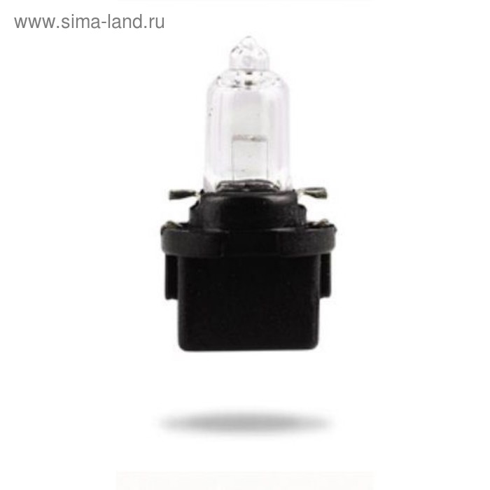 Лампа автомобильная Narva Black, BAX, 12В, 5 Вт, (B10d), 17163