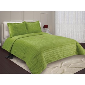 

Комплект Bland: покрывало 230×250 см, наволочка 50×70-2 шт, цвет зелёный