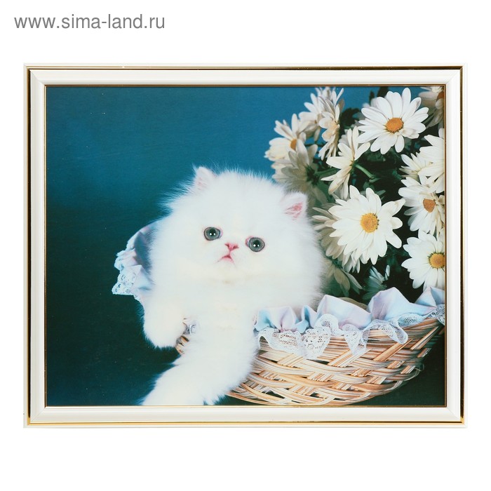 

Картина "Беленький котёнок" 35х28 (38х31) см