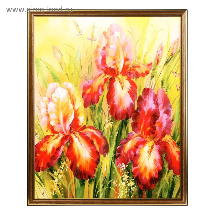 

Картина "Ирисы" 40х50 см (43х53см)