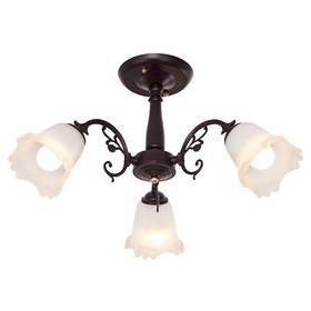 

Люстра 457/3BR WT, 3x60Вт E27, цвет коричневый