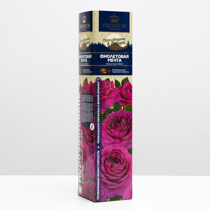 Саженец розы Фиолетовая мечта Весна 2024, 1 шт. саженец розы карамельная мечта весна 2023 1 шт