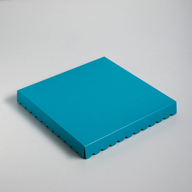 

Коробочка для печенья с PVC крышкой, голубая, 25 х 25 х 3 см