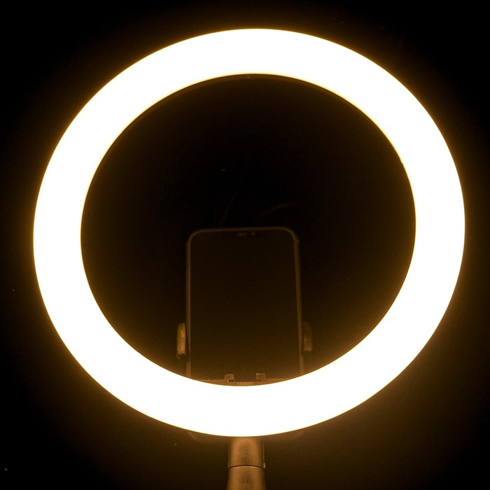 Светодиодная кольцевая лампа LuazON CB-32, 10" (26 см), 20 Вт, 3 режима, работает от USB