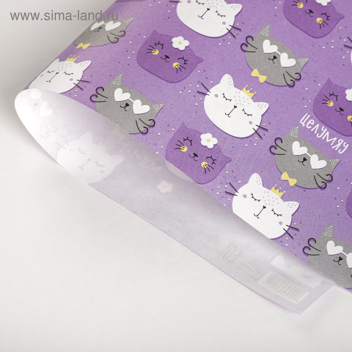 Бумага крафтовая Коты 50 70 см 21₽