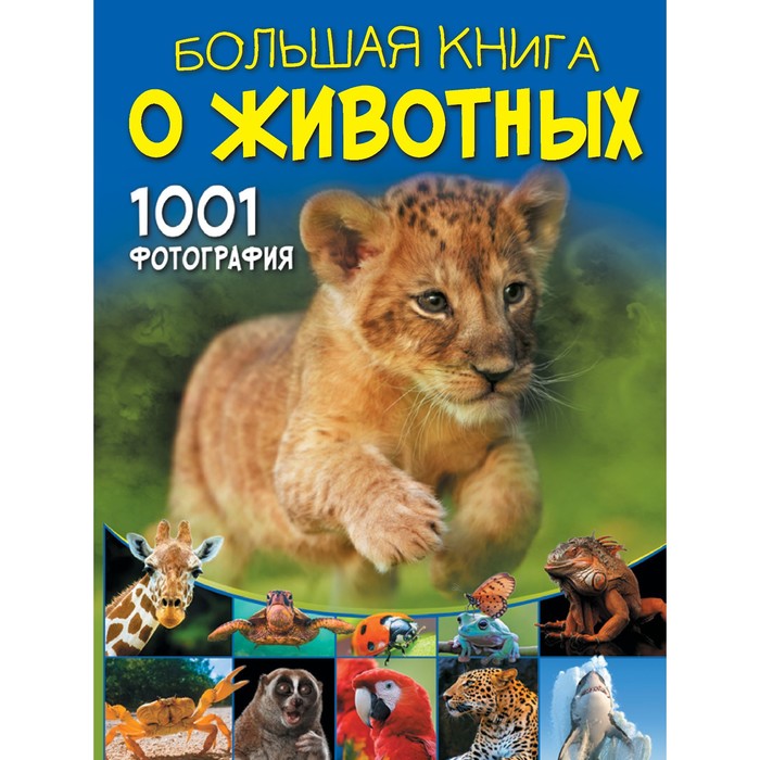 цена Большая книга о животных. 1001 фотография. Ермакович Д. И.