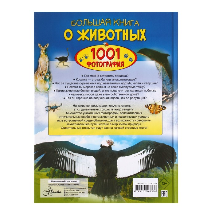 Большая книга о животных. 1001 фотография. Ермакович Д. И.