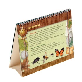 

Памятка школьника. Окружающий мир. 1-4 классы. Крутецкая В. А.