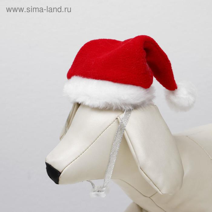 Колпак новогодний для собак, S-M (высота 15 см, обхват головы 25 см), микс