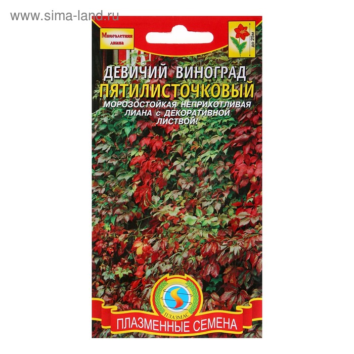 

Семена цветов Виноград "Девичий", 4 шт.
