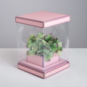 Коробка для цветов с вазой и PVC окнами складная «Вдохновение», 16 х 23 х 16 см Ош