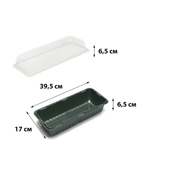 Мини-парник для рассады, 40 × 16 × 12 см, без вставок, салатовый, Greengo