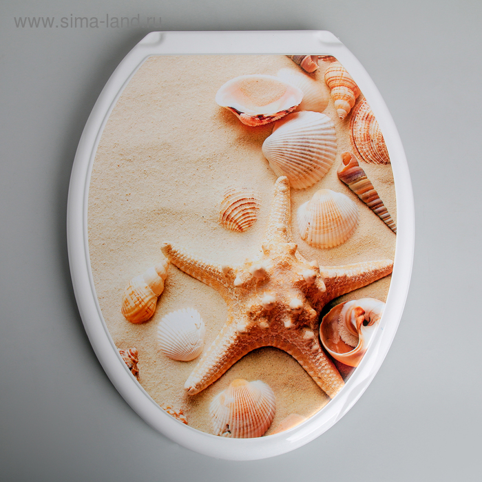 фото Сиденье для унитаза с крышкой «ракушки на песке», цвет белый росспласт