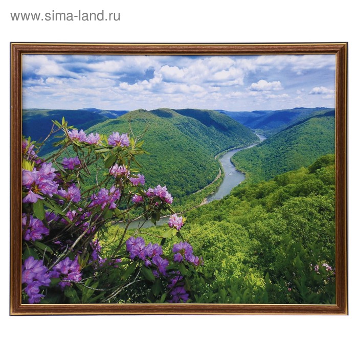 

Картина "Горные цветы" 43х53 см