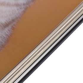 

Картина "Котенок" 30х39 см