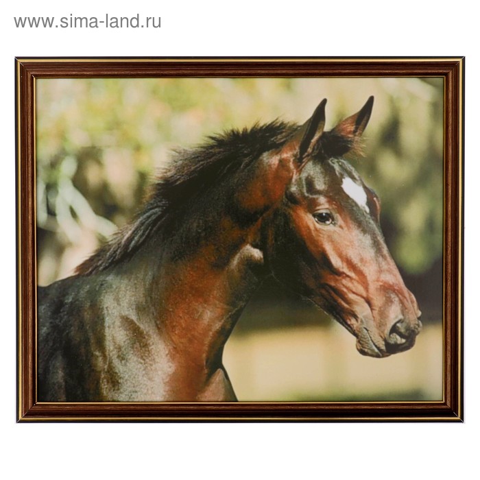 

Картина "Конь" 35х28 (38х31) см