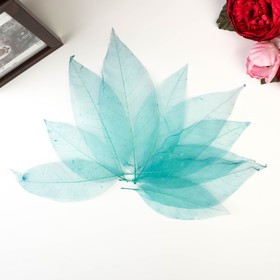 

Листья скелетированные для творчества "Морская волна" набор 10 шт 12,5х6 см