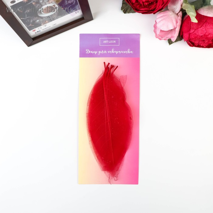 фото Листья скелетированные для творчества "красные" набор 10 шт 12,5х6 см арт узор