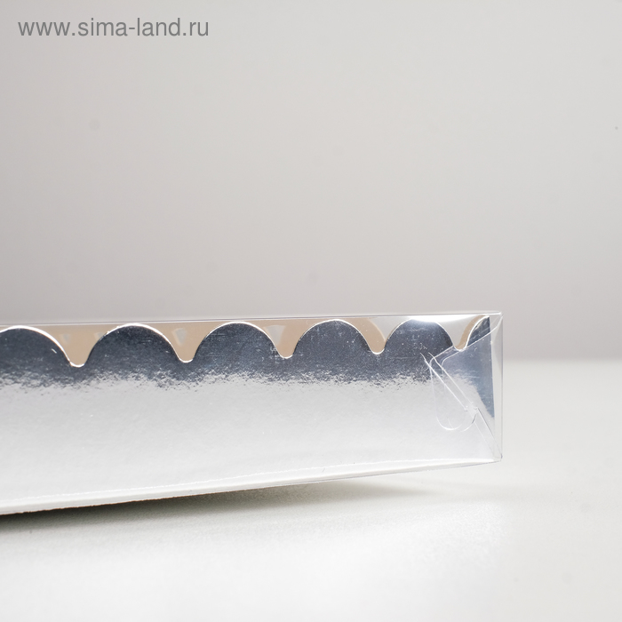 

Коробочка для печенья с PVC крышкой, серебряная, 23,5 х 30 х 3 см