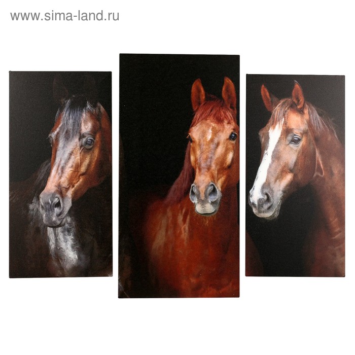 Модульная картина Три лошадки (2-25х50, 30х60см) 60х80 см модульная картина сирень в вазе 2 25х50 30х60 см 60х80 см