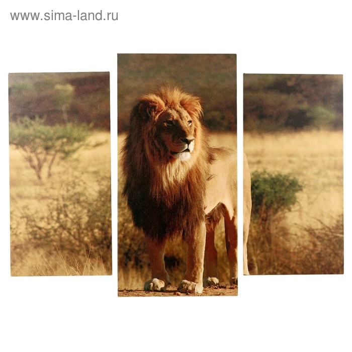 модульная картина дикий зверь 2 25х50 30х60 см 60х80 см Модульная картина Король саванны (2-25х50, 30х60 см) 60х80 см