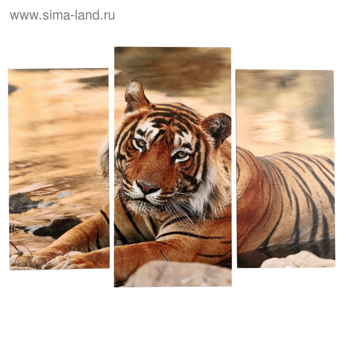модульная картина дикий зверь 2 25х50 30х60 см 60х80 см Модульная картина Тигр у воды (2-25х50, 30х60 см) 60х80 см