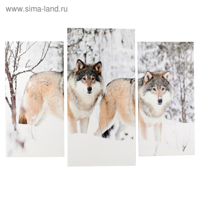 Модульная картина Волки в снегу (2-25х50, 30х60 см) 60х80 см модульная картина горное озеро 2 25х50 30х60 см 60х80 см