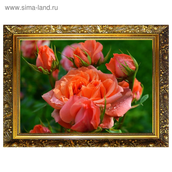 Алмазная мозаика «Королева сада» 29,5×20,5 см, 25 цветов