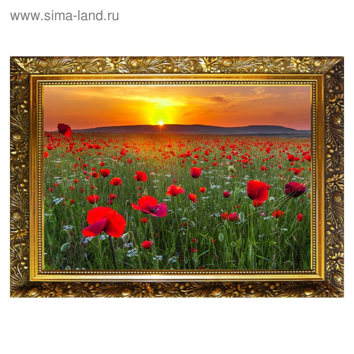 

Алмазная мозаика «Маковое поле» 29,5×20,5 см, 25 цветов