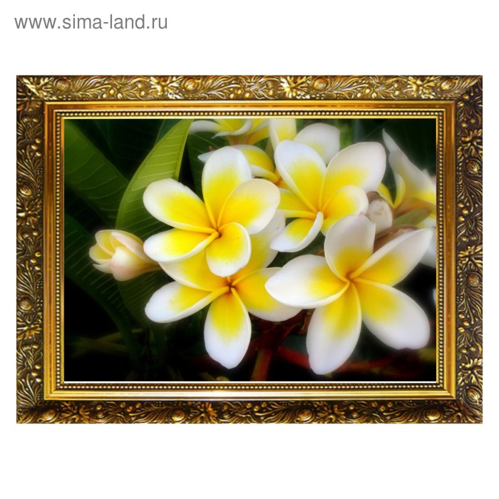 Алмазная мозаика «Желтая плюмерия» 29,5×20,5 см, 25 цветов