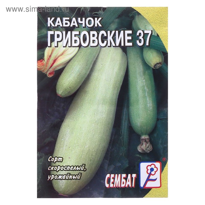 Семена Кабачок Грибовские 37, 2 г кабачок русский огород грибовские 37 4г